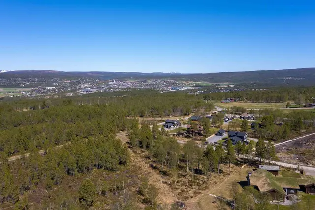 Drone 0306_4.jpg